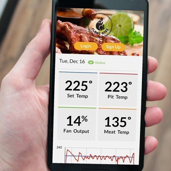Термометр с WI-FI Big Green Egg Genius 121059