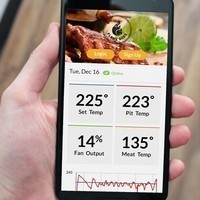 Термометр с WI-FI Big Green Egg Genius 121059